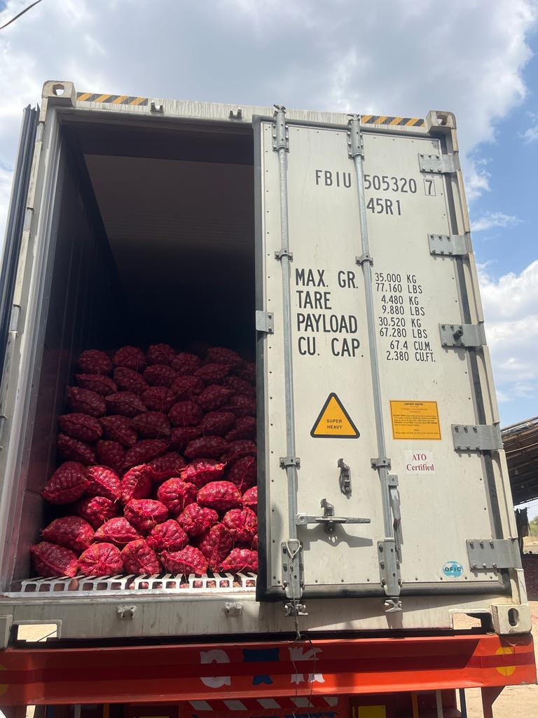 Onion bags loaded in container